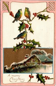 VINTAGE POSTCARD MERRY CHRISTMAS BIRDS THISTLE HAMILTON MONTANA 1909 small tear