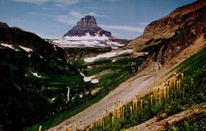 USA Mt Clemens Glacier National Park Montana Chrome Postcard 09.85