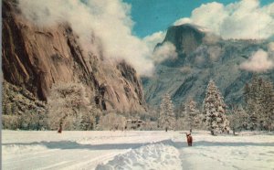 California, Yosemite National Park Half Dome Heavy Winter Snow Vintage Postcard