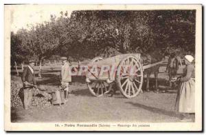 Old Postcard Folklore Normandy apple Measurement