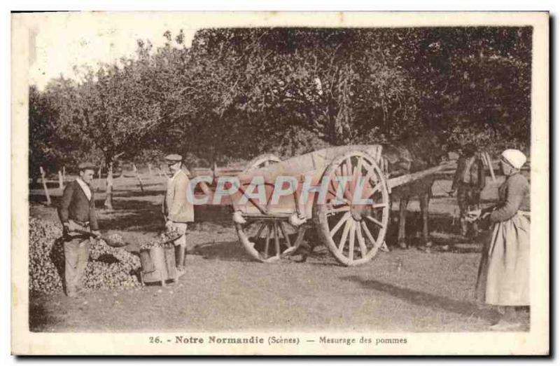 Old Postcard Folklore Normandy apple Measurement