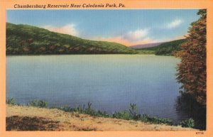 circa 1940's Chambersburg Reservoir Caledonia Park Pa. Postcard 10c1-710