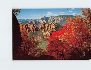 Postcard View From Schnebly Hill, Oak Creek Canyon, Arizona
