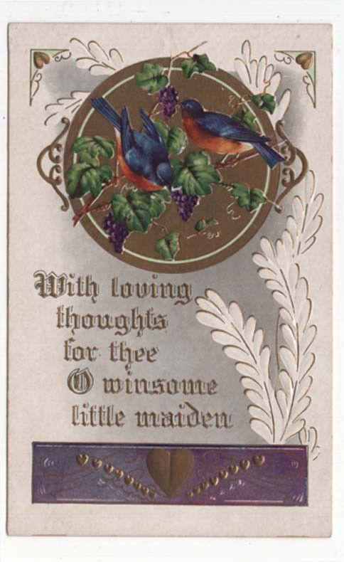 Vintage Valentine's Day Greeting Post Card, Pair of Robins, Grapes, Message