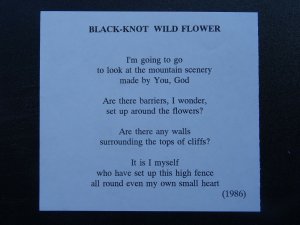 BLACK KNOT Paintings Poems by Japanese Disabled Artist Tomihiro Hoshino PC