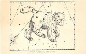 Hayden Planetarium Ursa Major Constellation Astronomy New York Vintage Postcard