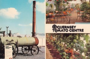 Steam Train Guernsey Tomato Centre Postcard