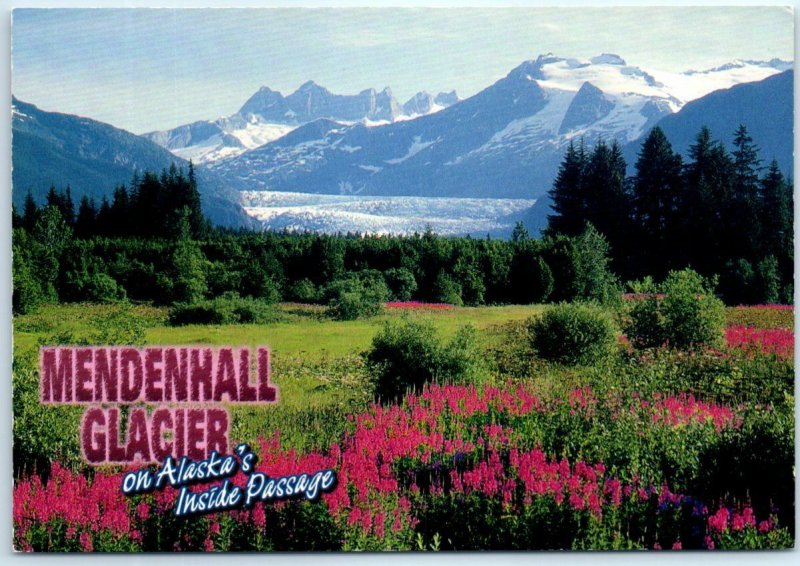 Fireweed blossoms highlight this breathtaking scene - Mendenhall Glacier, Alaska