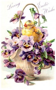 Easter    Chick in Basket Violets
