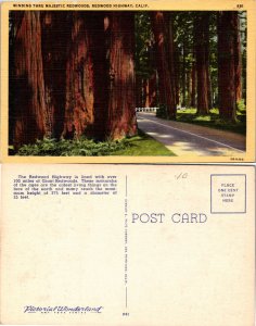 Redwood Highway, Calif. (22651