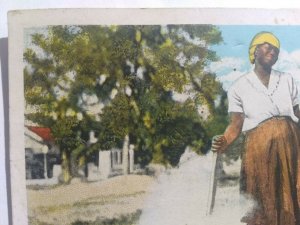 VTG Postcard, wash day in Dixie .Haines City, Louisiana