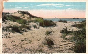 Vintage Postcard Glimpse Of Ocean From Sandhills Sundunes Cape Henry Virginia VA
