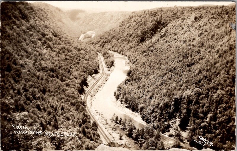 Pennsylvania Grand Canyon from Harrisons State Hwy Caulkins RPPC Postcard Y18