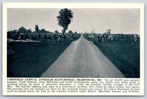 Sharpsburg MD~Antietam Battlefield~Cornfield Avenue~Civil War Cannon~1925 B&W