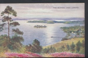 Scotland Postcard - The Islands, Loch Lomond  RS8015