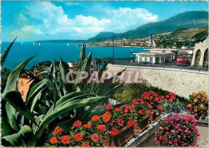 Postcard Modern Riviera dei Flori Ponte S Luigi Confis Italian and French the...