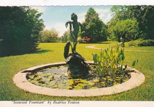 South Carolina Myrtle Beach Seaweed Fountain By Beatrice Fenton 1989