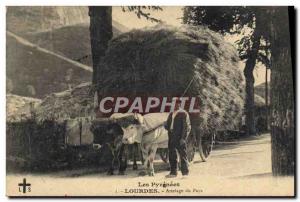 Old Postcard countries Hitch Lourdes Oxen