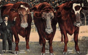 Kingfisher Oklahoma Largest Steers Tom Dick Harry Cows Exaggeration PC AA54002