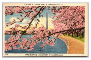 Cherry Blossoms Washington Monument Washington DC Linen Postcard Y13
