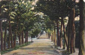 Bermuda Cedar Avenue 1911