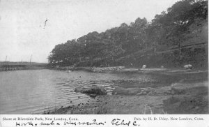 New London Connecticut Shore at Riverside Park Vintage Postcard AA50496