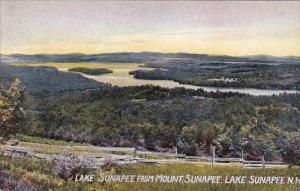 New Hampshire Lake Sunapee Lake Sunapee From Mount Sunapee 1908