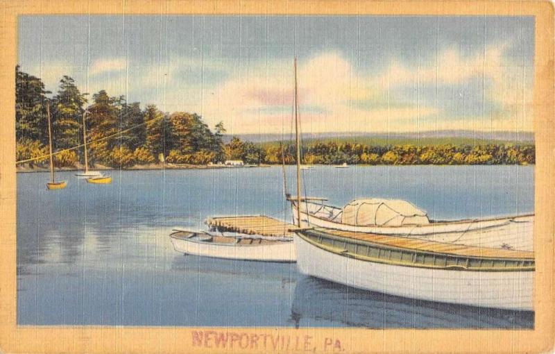 Newportville Pennsylvania Sailboat Harbor Waterfront Antique Postcard K77953