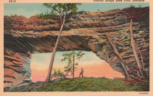 Vintage Postcard 1930's Natural Bridge Gigantic Rock Formation State Park KY