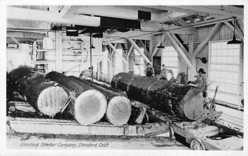 RPPC STANDARD LUMBER COMPANY, CA Tuolumne c1910s Logging Photo Vintage Postcard