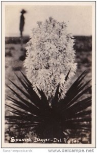 Cactus Spanish Dagger Del Rio Texas Real Photo