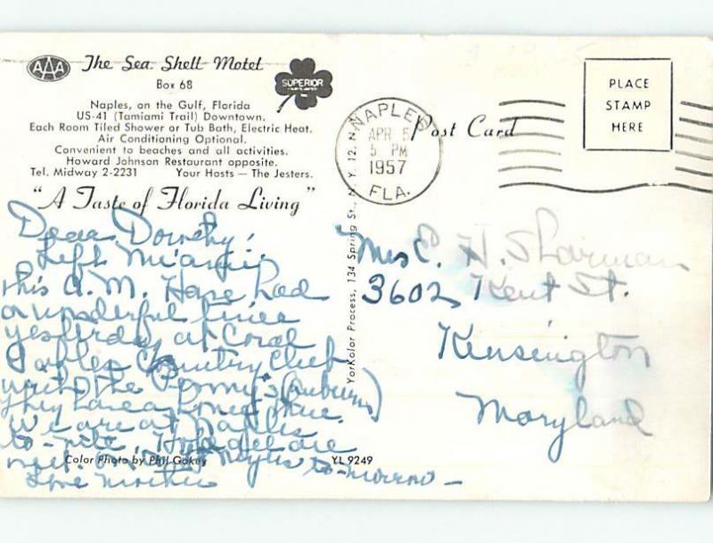 Pre-1980 SEASHELL MOTEL Naples Florida FL M4802