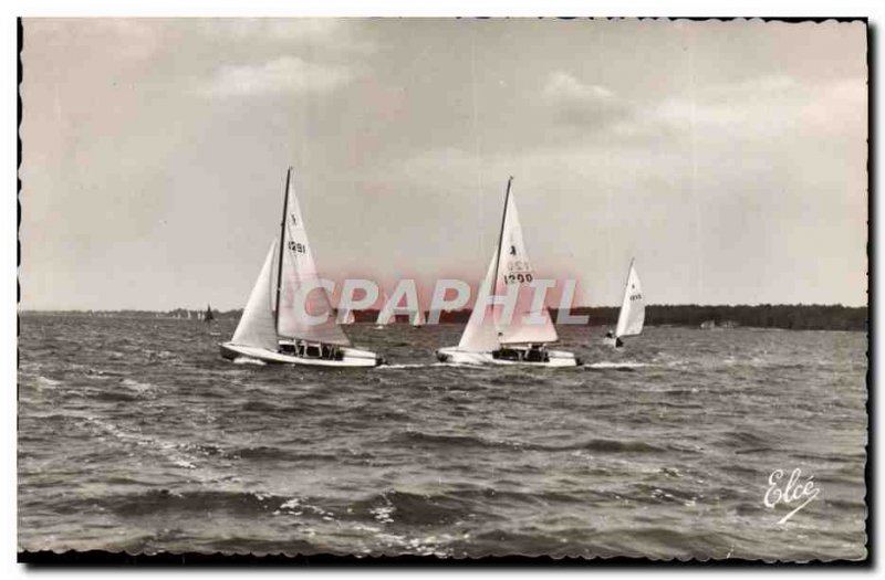 CPM Basin D & # 39Arcachon Ducklings in regattas