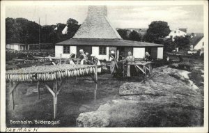 Bornholm Denmark Silderogeri Vintage Postcard