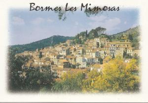 BF22374 bormes les mimosas var france  front/back image