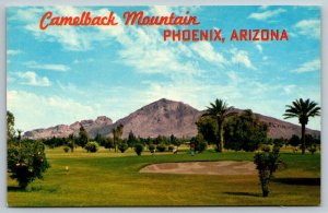 Camelback Mountain  Phoenix  Arizona Golf Course Country Club   Postcard