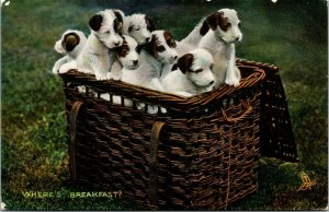 Vtg Pretty Puppies Dogs in a basket Where's Breakfast 1910s Tuck Postcard