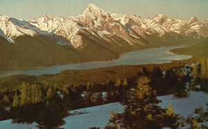 Vintage Postcard Bald Hills Maligne Lake Largest Glacial Lake Jasper Nat'l Park