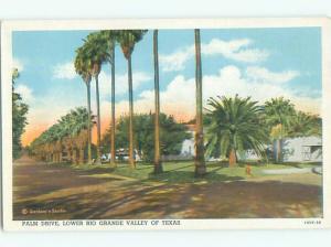 Unused Linen TREES ALONG STREET Rio Grande Texas TX n1275