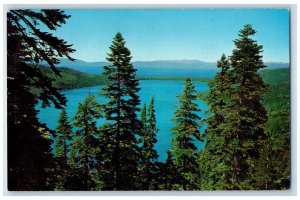 1970 Fallen Leaf Lake Trees South Lake Tahoe Desolation Valley Hub Bub Postcard 