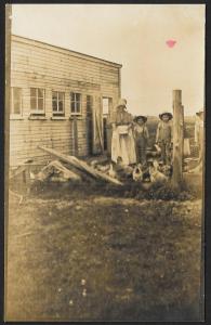 Woman & Three Boys in Barnyard with Chickens RPPC Unused c1910s