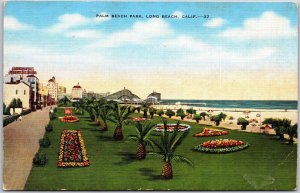 Palm Beach Park Long Beach California Baby Palm Trees Flower Landscape Postcard