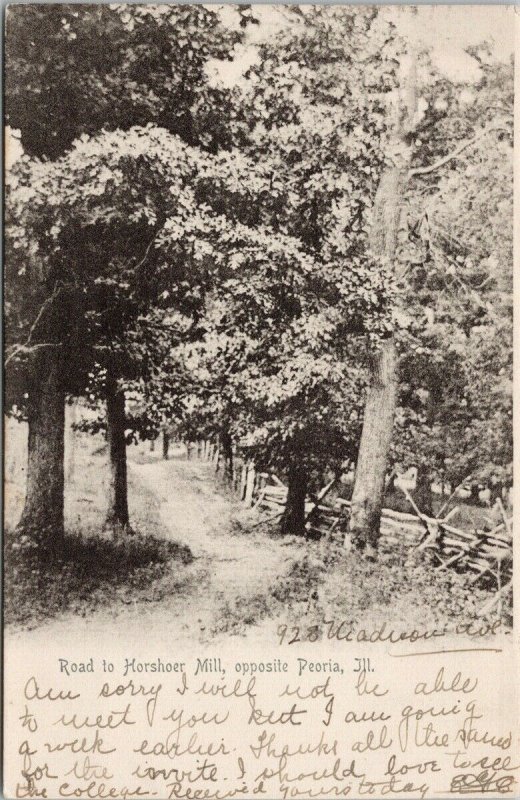 Peoria IL Road to Horshoer Mill c1905 Green's News Bazaar Postcard G82