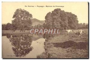 Postcard Old Morvan Landscape Matinee Spring Cows