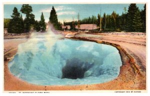 Wyoming  Yellowstone Park   Morning Glory Pool