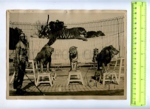 230378 RUSSIA Circus tamer tiger Togare autograph 1927 y photo