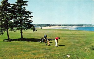 Nova Scotia, Canada   WHITE POINT BEACH LODGE  Golf Course~Golfers  Postcard