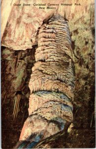 Giant Dome Carlsbad Caverns National Park New Mexico Postcard