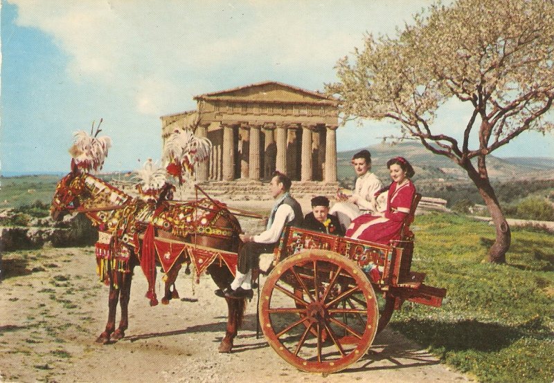 Sicilian cart. Horse. Scene Nice modern Italian PC. Continental  size