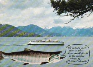 Canada British Columbia Coastal Water Small Ferry